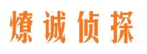 泰山出轨调查